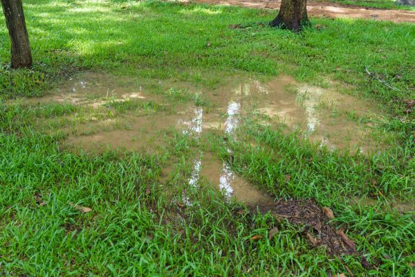 Cost of Storm Water Drainage Service in Wilmington