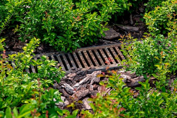 Cost of Underground Drainage Service in Wilmington