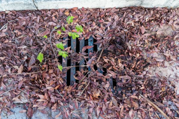 Cost of Yard Drain Unclogging in Wilmington