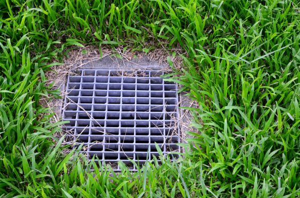 Cost of Yard Water Drainage in Wilmington