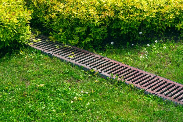 Cost of Lawn Drainage in Wilmington