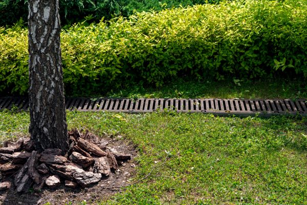Cost of Wet Yard Drainage in Wilmington