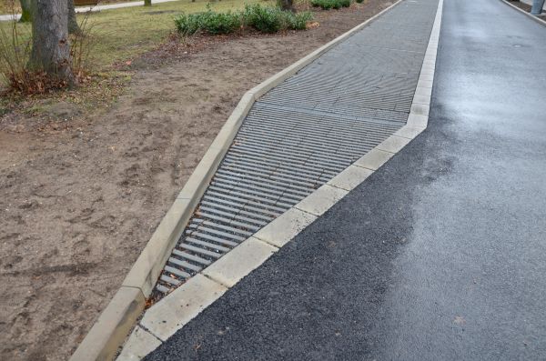 Cost of Muddy Yard Drainage in Wilmington