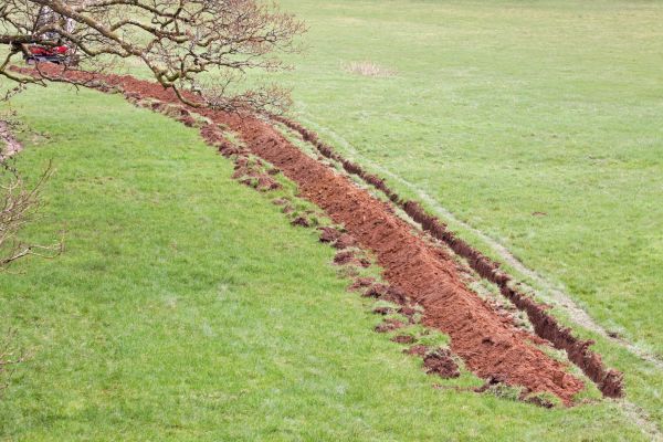 Cost of Swale Installation in Wilmington