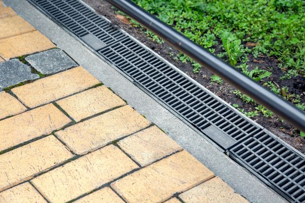 Cost of Waterlogged Yard Repair in Wilmington