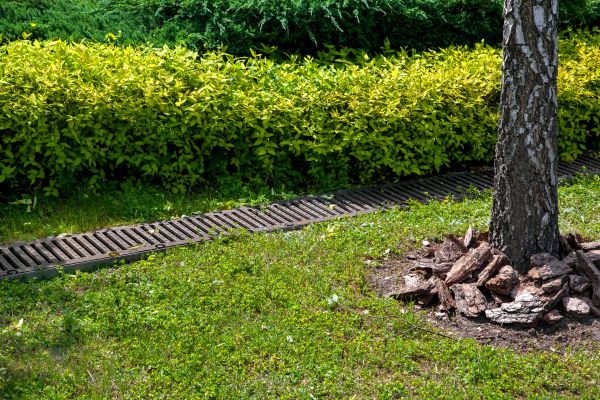 Cost of Residential Landscape Drainage in Wilmington