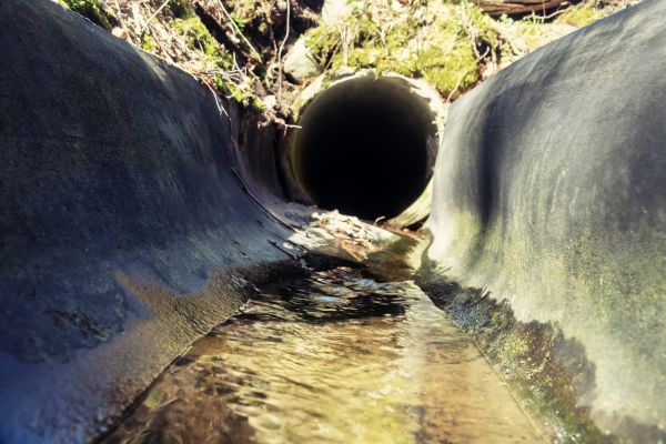 Cost of Drainage Swale Installation in Wilmington